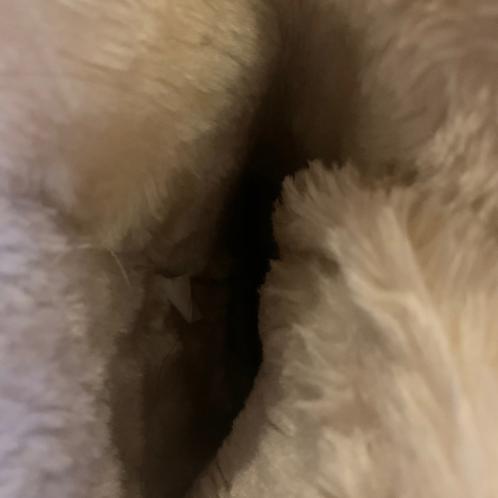 Beautiful Boots😍🎀 - Picture 6 of 6